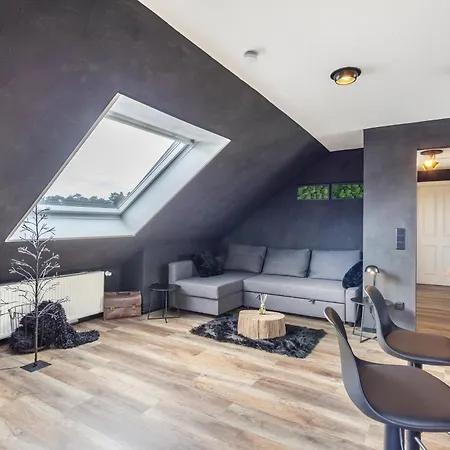 Industrial Apartment